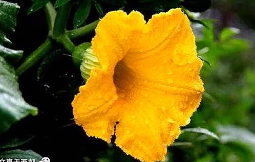 娱乐圈背后的秘密与麻将智慧的双重揭秘